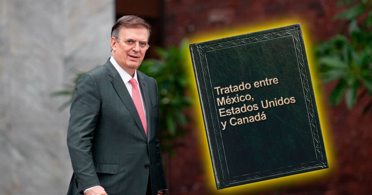 El secretario de Economía, Marcelo Ebrard, debe llevar este libro en la faja del pantalón.
