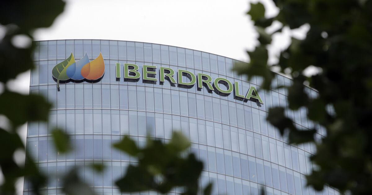 El gobierno vendio 852 millones de dolares de capital en las plantas a compradores locales.