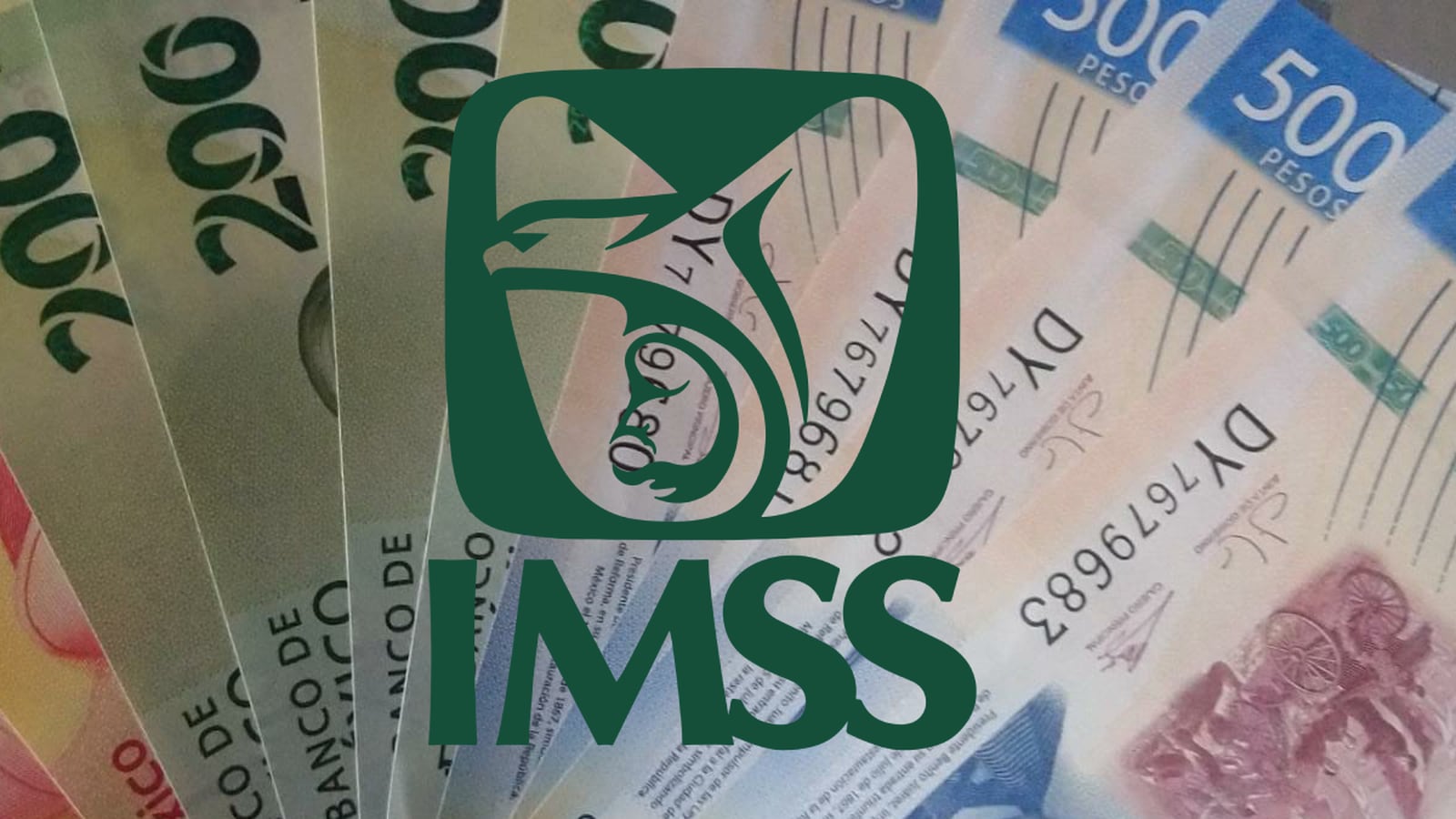 Pensión IMSS 2024 Calendario completo de pagos y cuándo depositan en