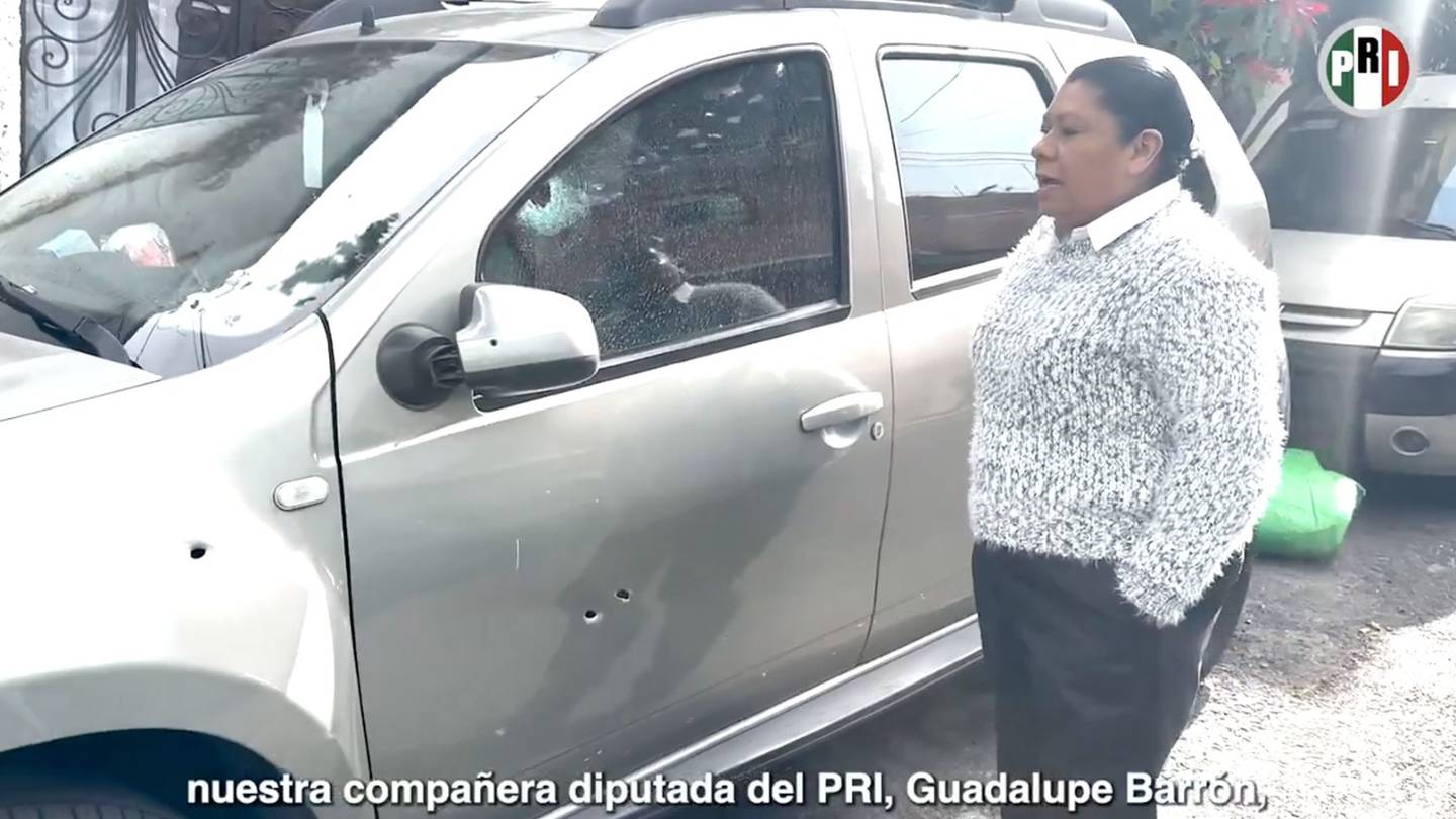 Este domingo 7 de enero, la diputada Guadalupe Barrón fue víctima de un ataque.