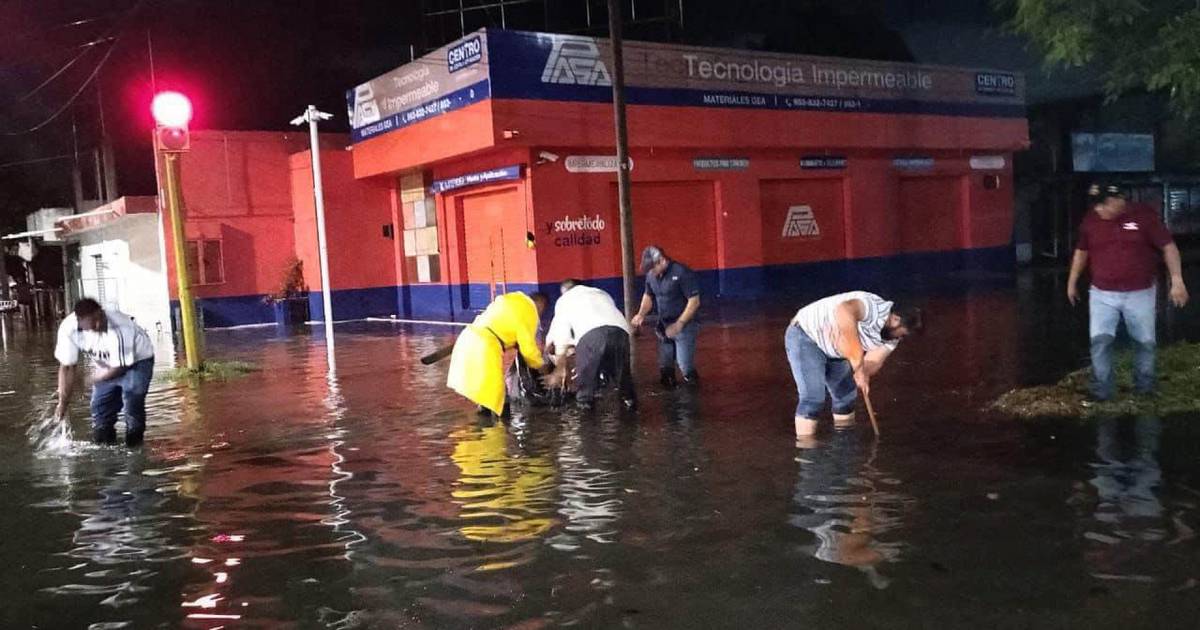 120 quartiers de Chetumal sont inondés – El Financiero