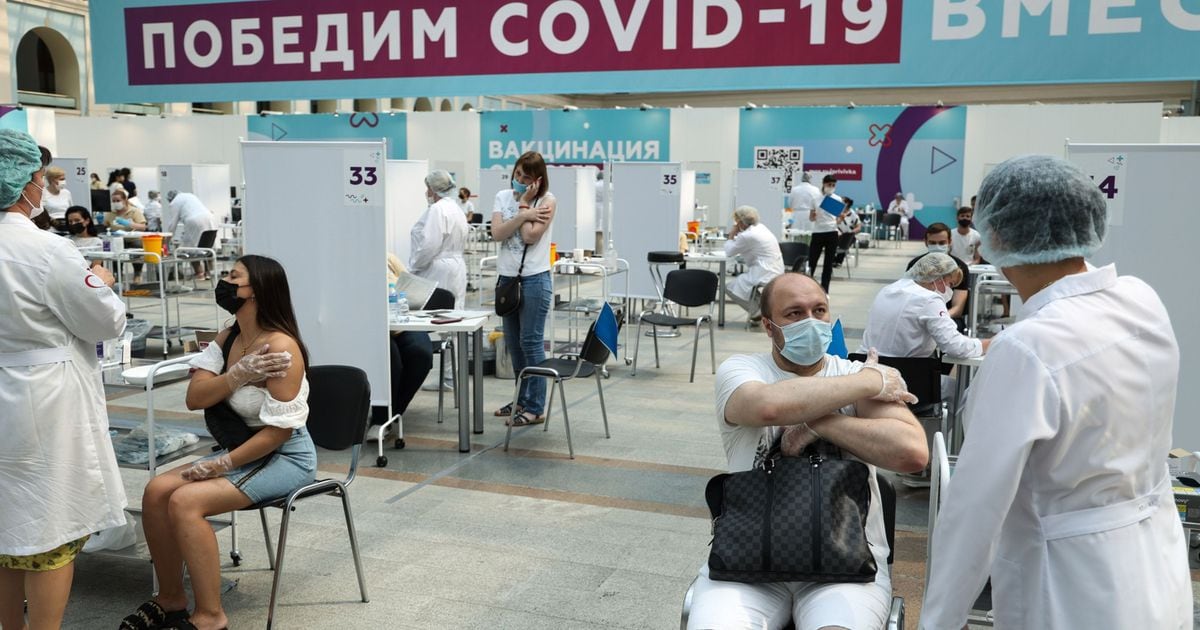 Millennial in CDMX this is what you should know about the Russian vaccine – El Financiero