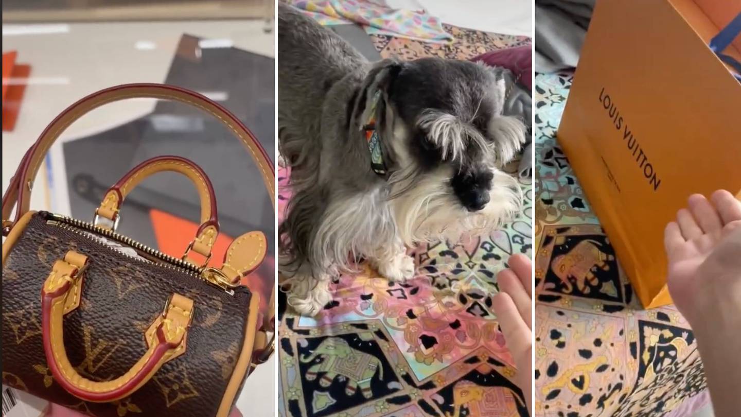 Louis Vuitton vende bolso de lujo para recoger heces de perro; cuesta más  de 18 mil pesos – El Financiero