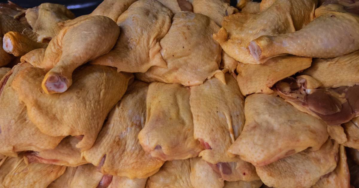 Pandemia del pollo': ¿Se contagia la influenza aviar AH5N1 al comer carne  contaminada? – El Financiero