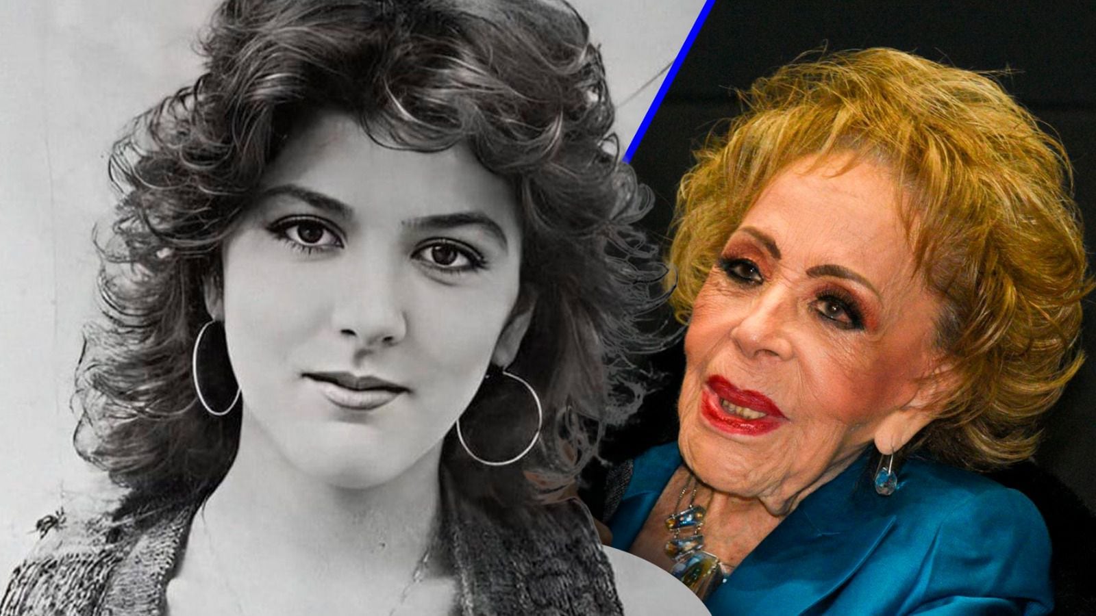 La amarga historia de la hija de Silvia Pinal: ¿De qué murió Viridiana  Alatriste? – El Financiero