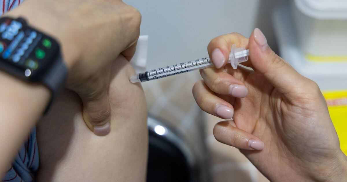 Italian vaccine against COVID is 99% effective … and Mexico seeks to produce it – El Financiero