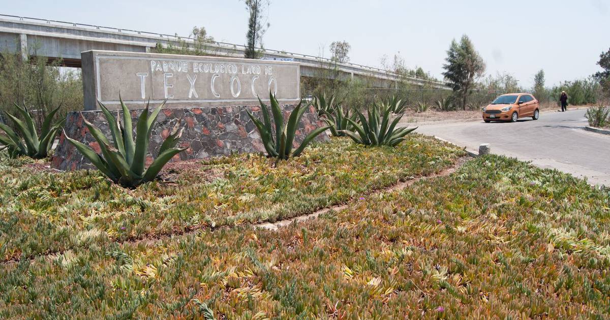 Así Será El Parque Ecológico Del Lago De Texcoco El Financiero 0299