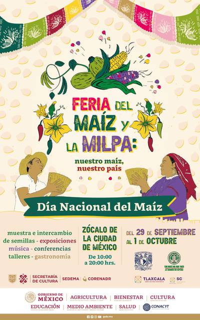 Feria del Maíz y la Milpa 2022: Vamos por un elote a este festival en el  Zócalo – El Financiero
