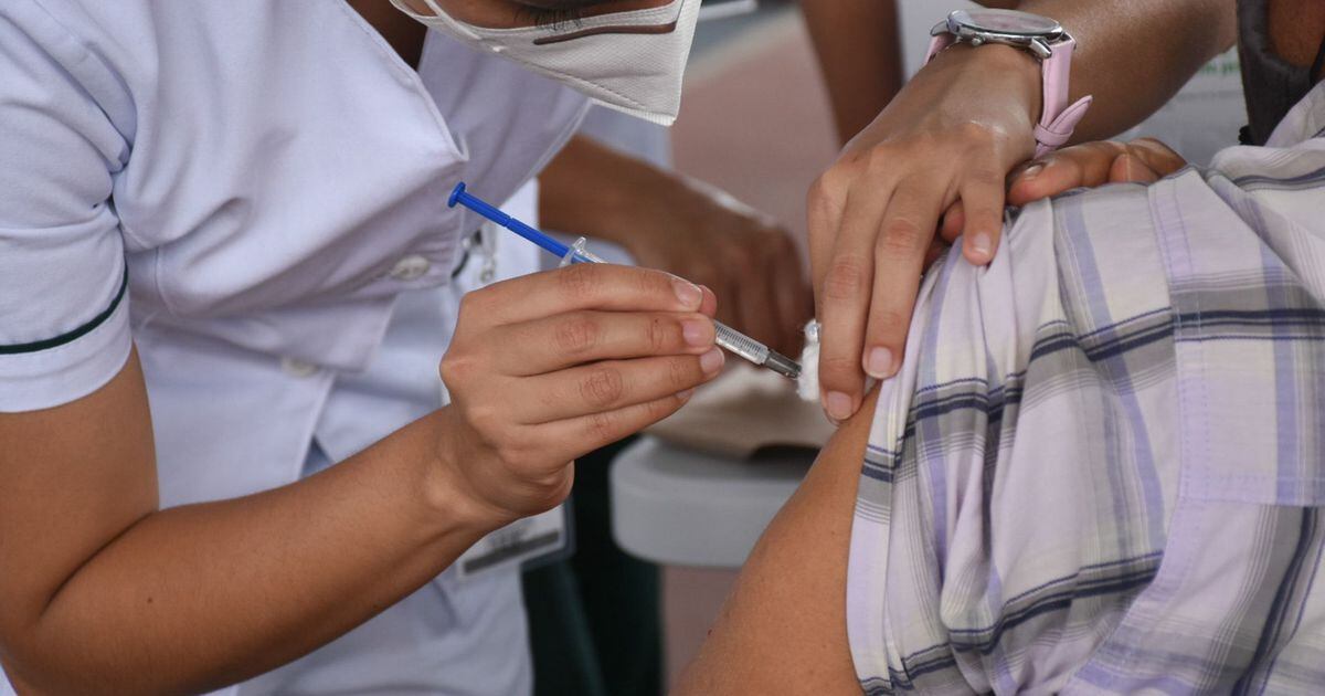 Mexico exceeds 10 million COVID vaccines applied;  more than 50% of older adults go – El Financiero