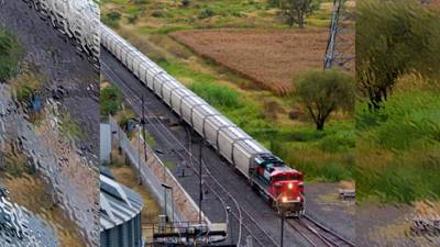 Expropiación de concesión ferrocarrilera de Grupo México daña la confianza: CCE
