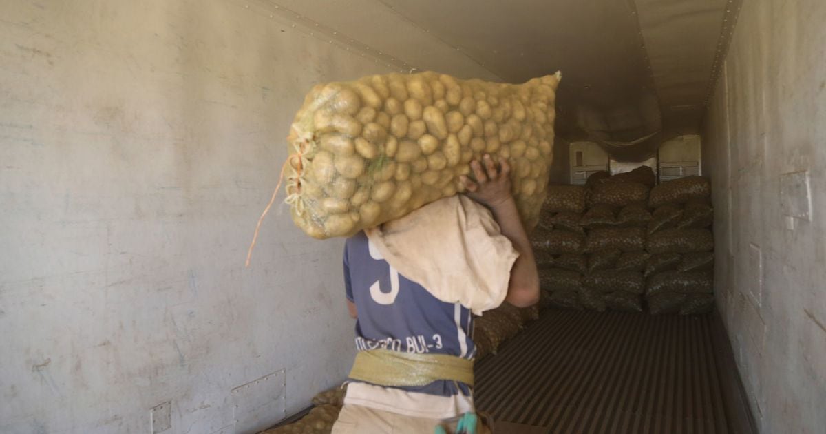 SCJN Postpones Discussion on US Potato Import – El Financiero