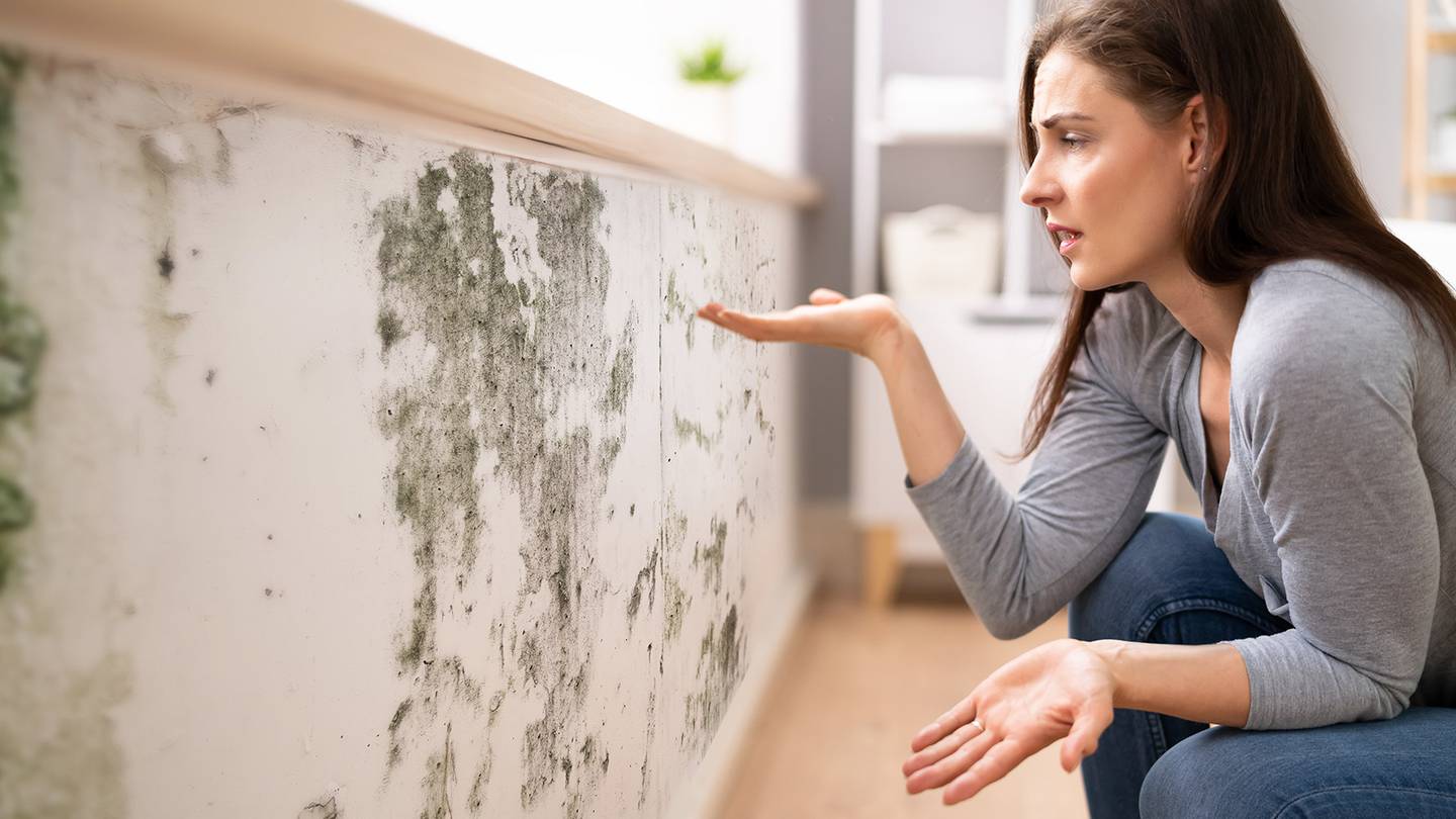 Elimina la humedad y el moho de la pared, solo con dos materiales