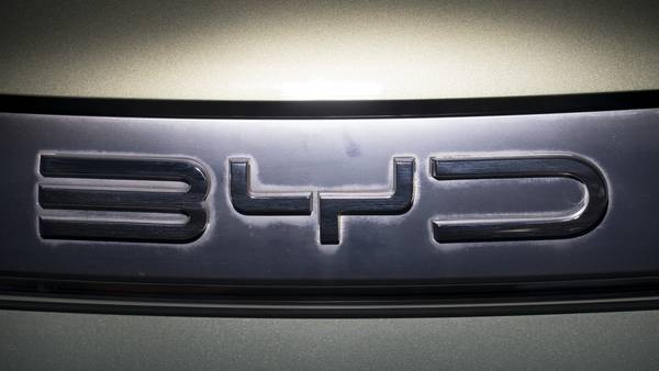 BYD ‘le copia’ a Tesla: ¿Por qué frenó la construcción de una planta en México?