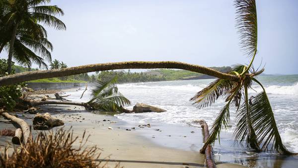 Islas del Caribe piden 9 millones de dólares en ayuda tras devastación dejada por ‘Beryl’