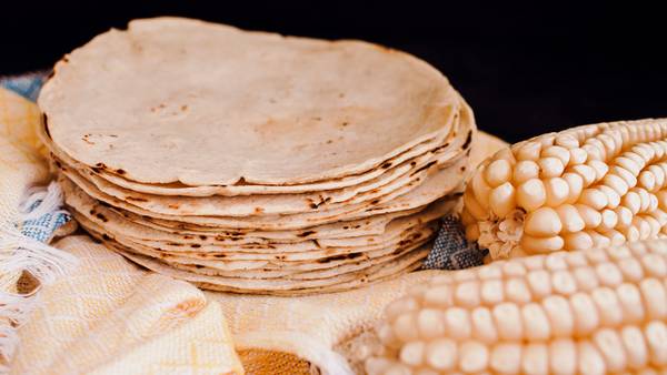 Mejor que un pan: Estos son los beneficios de las tortillas de maíz según  la UNAM – El Financiero