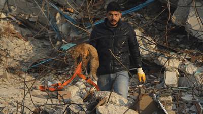 Logran rescates en Turquía a 4 días del terremoto; suman más de 23 mil fallecidos
