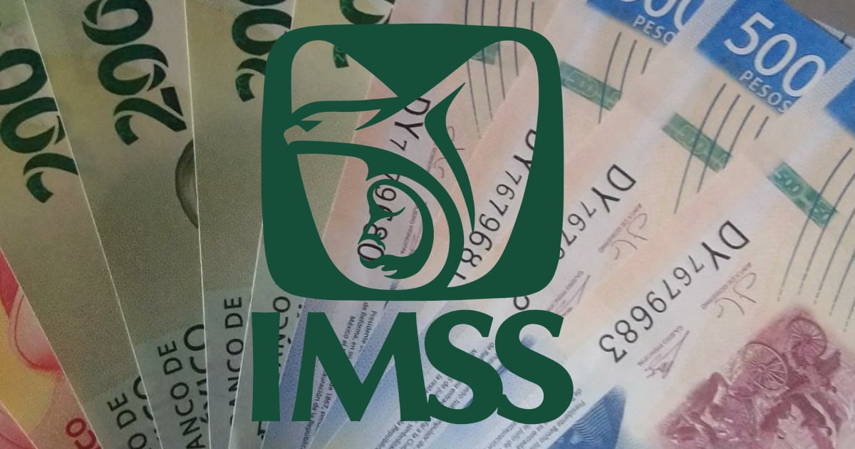 IMSS Pension Payment Schedule 2024 Dates, Increases, and Important