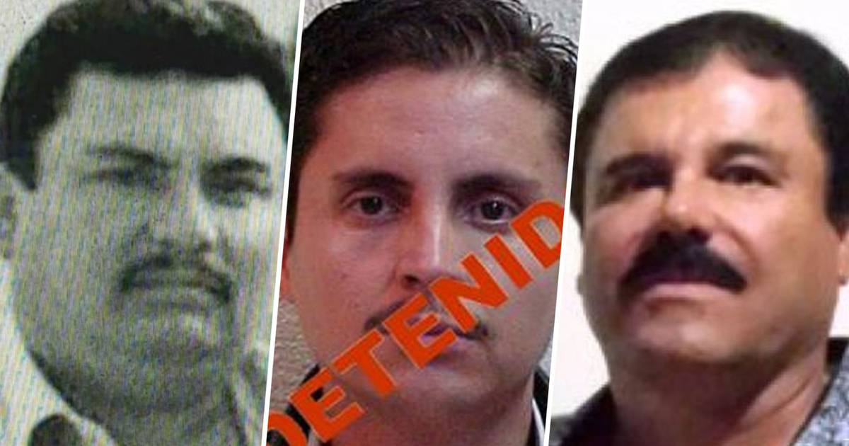 Los hermanos Guzmán Loera, una familia criminal ligada al Cártel de Sinaloa  – El Financiero