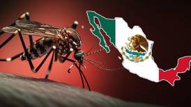 La ‘invasión’ del dengue: Advierten que afectará a 8 de cada 10 mexicanos