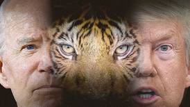 USA: el tigre bipolar