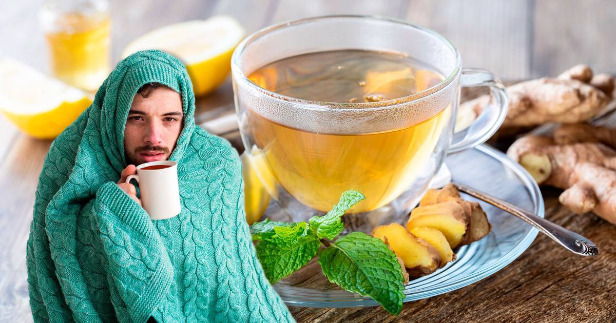 What is the best tea for cold protection? – finance