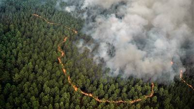 Ola de calor: Incendios forestales en Europa equivalen a la 5a parte de Bélgica