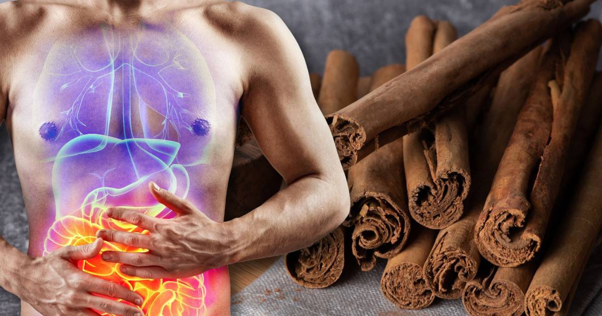 What organs does cinnamon damage? – finance