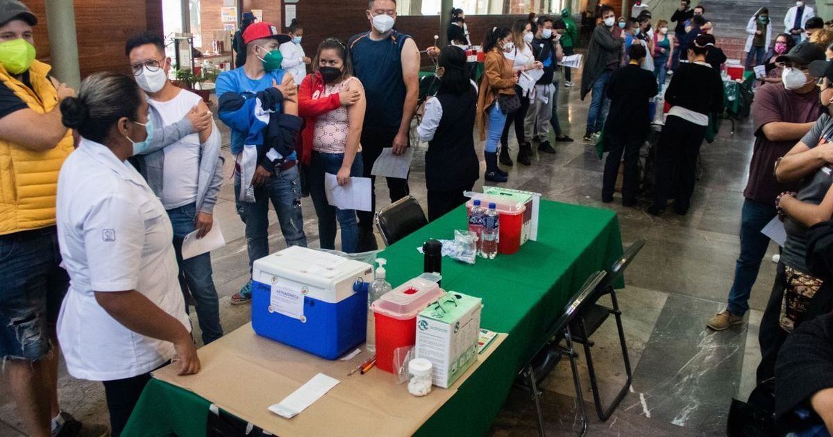 Mexico applies 423,652 new doses of COVID vaccines;  go 107.1 million – El Financiero