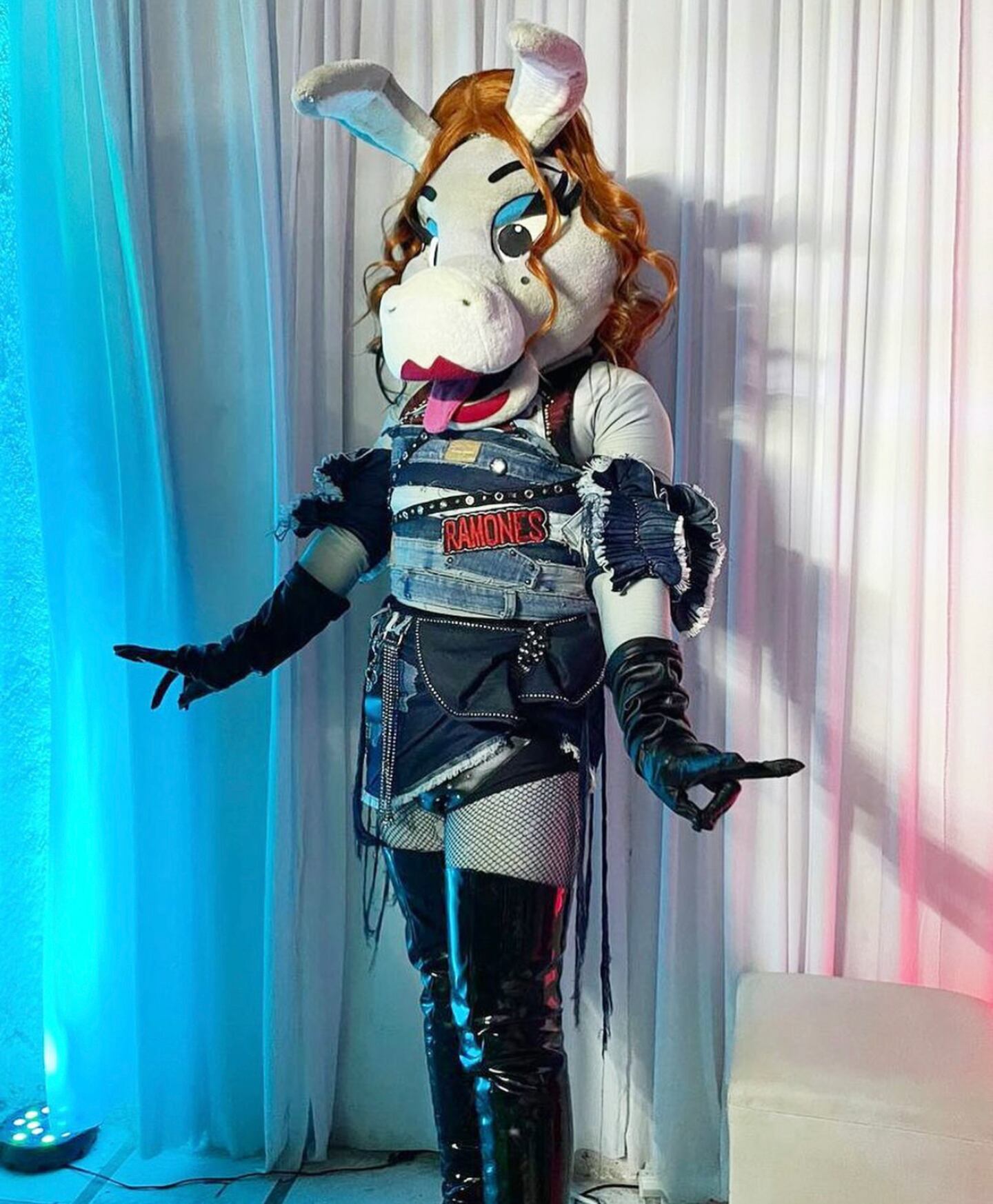 ¿Quién es la Burrita Burrona, drag queen que se hizo viral por frases ...