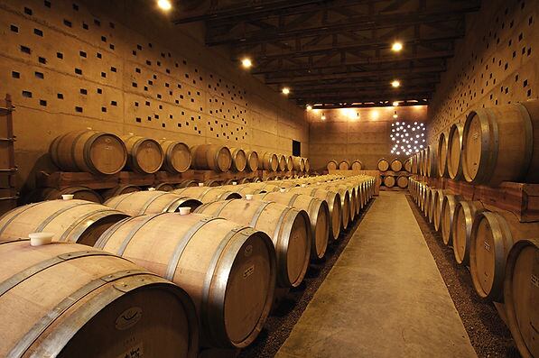 Ricardo Vega era dueño del famoso viñedo Cuna de Tierra, en Guanajuato