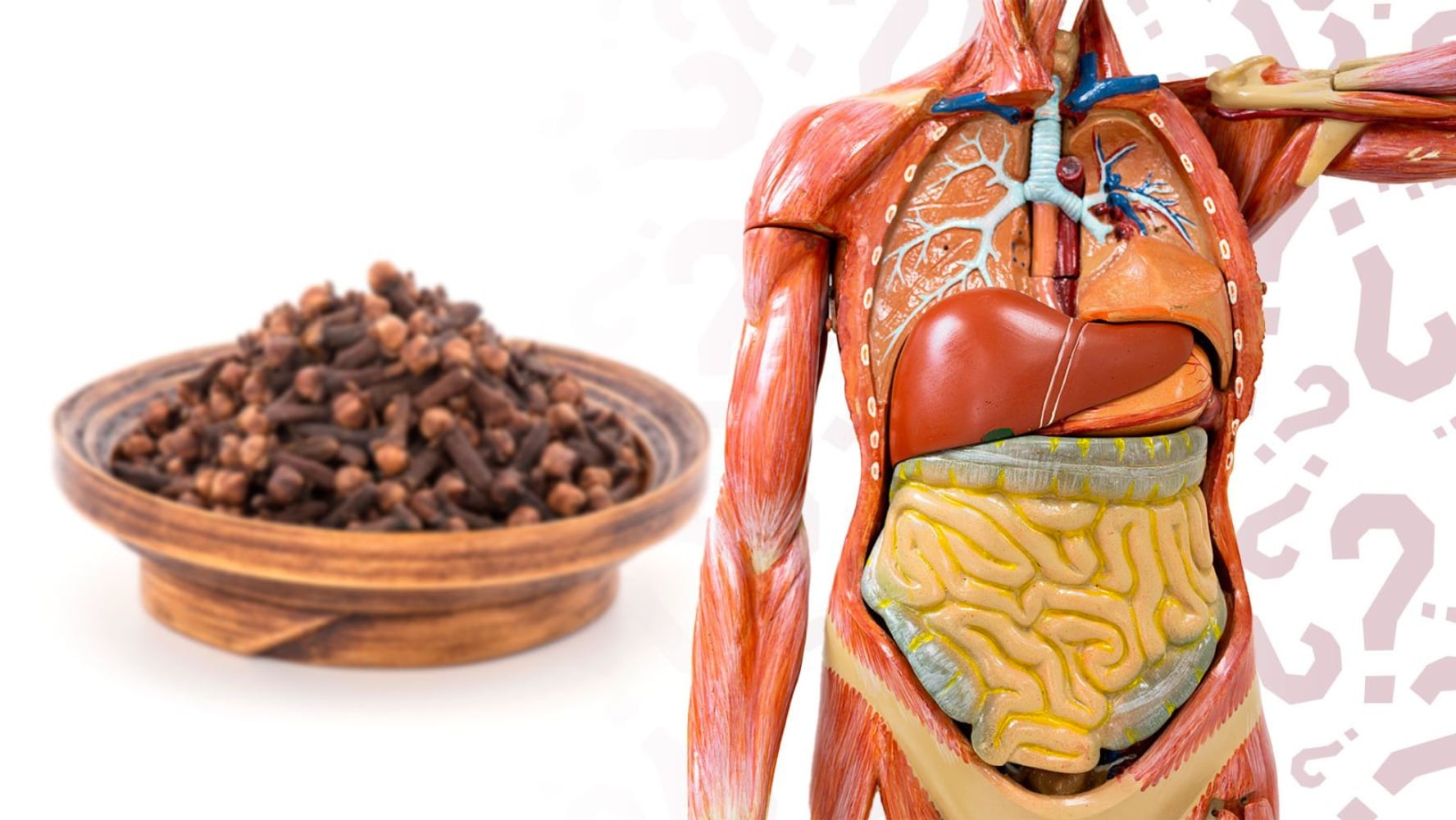 Conoce los efectos secundarios del clavo de olor. (Foto: Especial El Financiero)