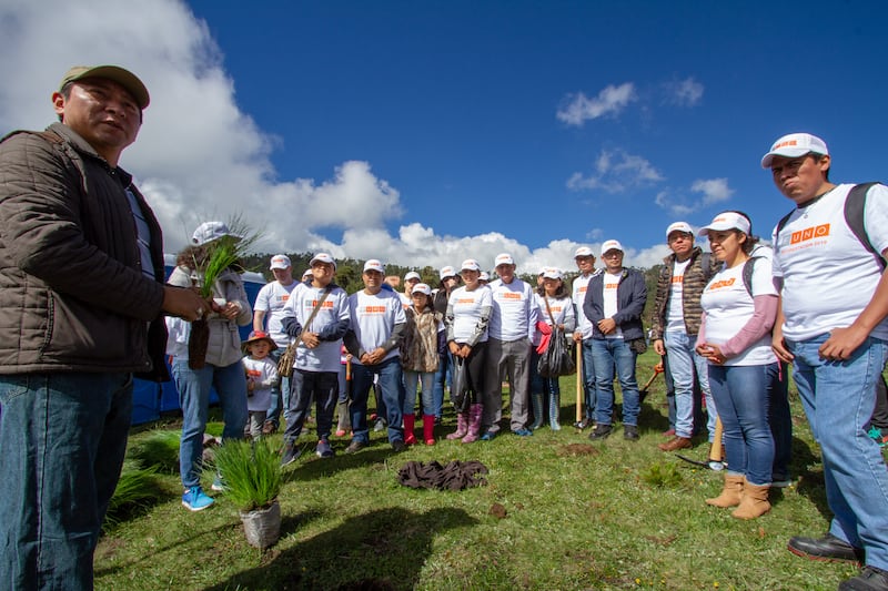 Reforestación FUNO