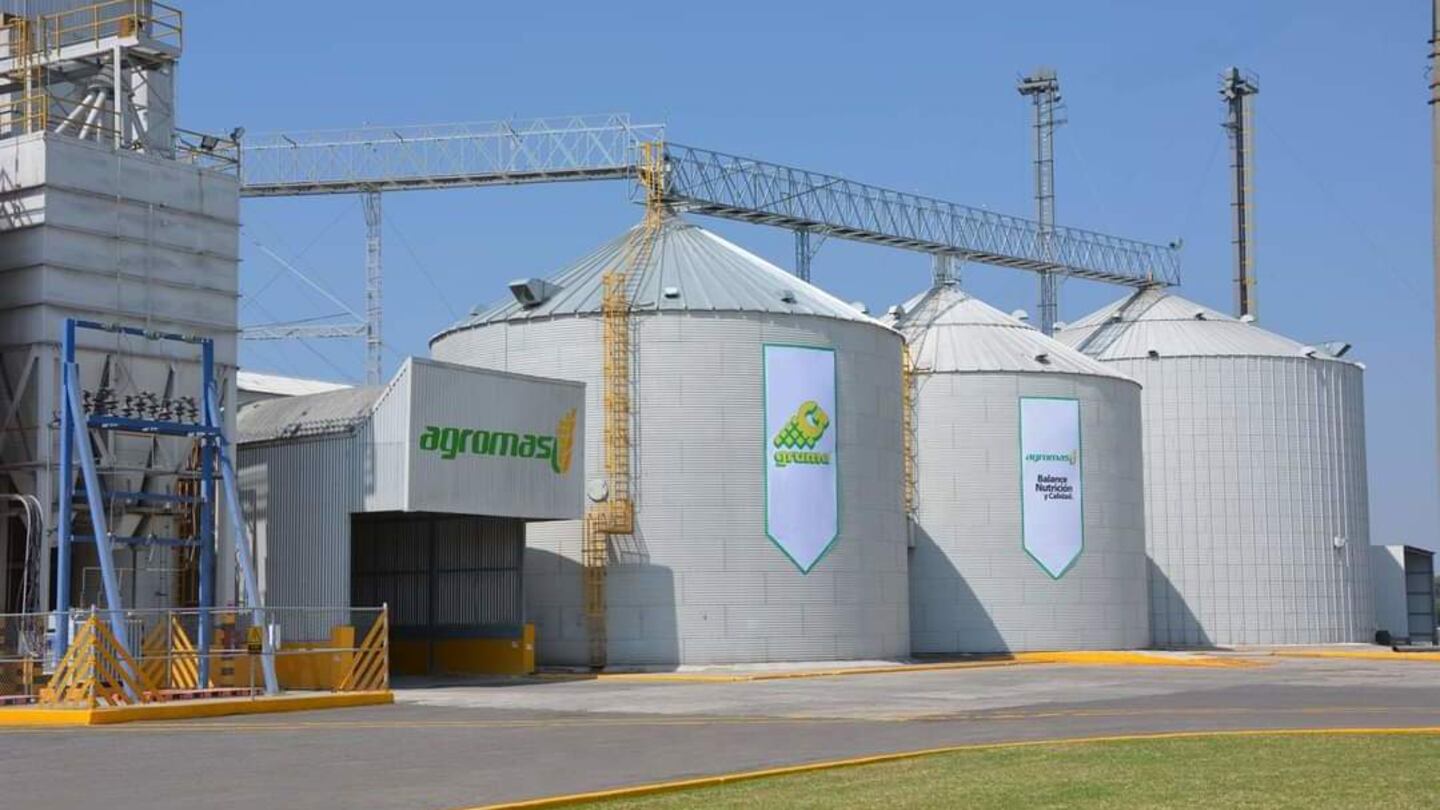 Reporta Gruma alza de 26% en Ebitda del I-2024 – El Financiero