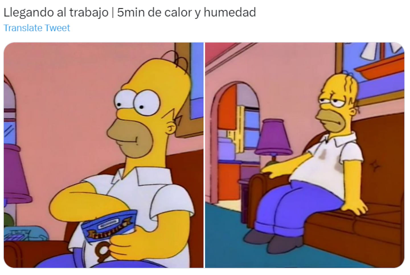 ‘Los Simpson’: Los mejores memes que nos ha dejado la serie de ...