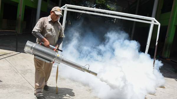 Morelos reporta 13 muertes por dengue: ¿Cuáles son las precauciones para evitar contagios? 