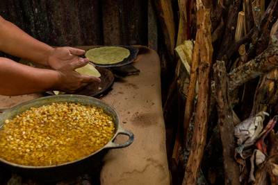 Mejor que un pan: Estos son los beneficios de las tortillas de maíz según  la UNAM – El Financiero